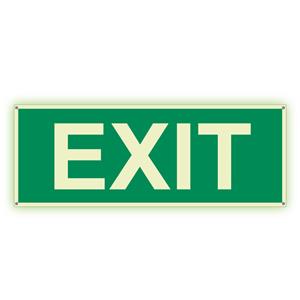 EXIT - fotoluminescencyjny znak z dziurkami, płyta PVC 2 mm 300x120 mm