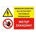 NIEBEZPIECZEŃSTWO DLA ŻYCIA PRZY... - WSTĘP ZAKAZANY!, ZNAK ŁĄCZONY, płyta PVC 2 mm, 210x148 mm