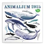 Poznámkový kalendár 2025 Animalium