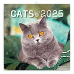 Poznámkový kalendár 2025 Mačky