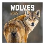 Poznámkový kalendár 2025 Vlky